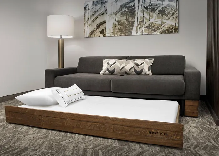 Springhill Suites By Marriott Atlanta Perimeter Center